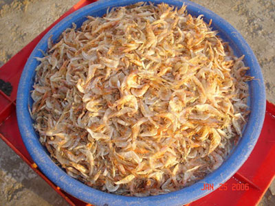 Sundried shrimps