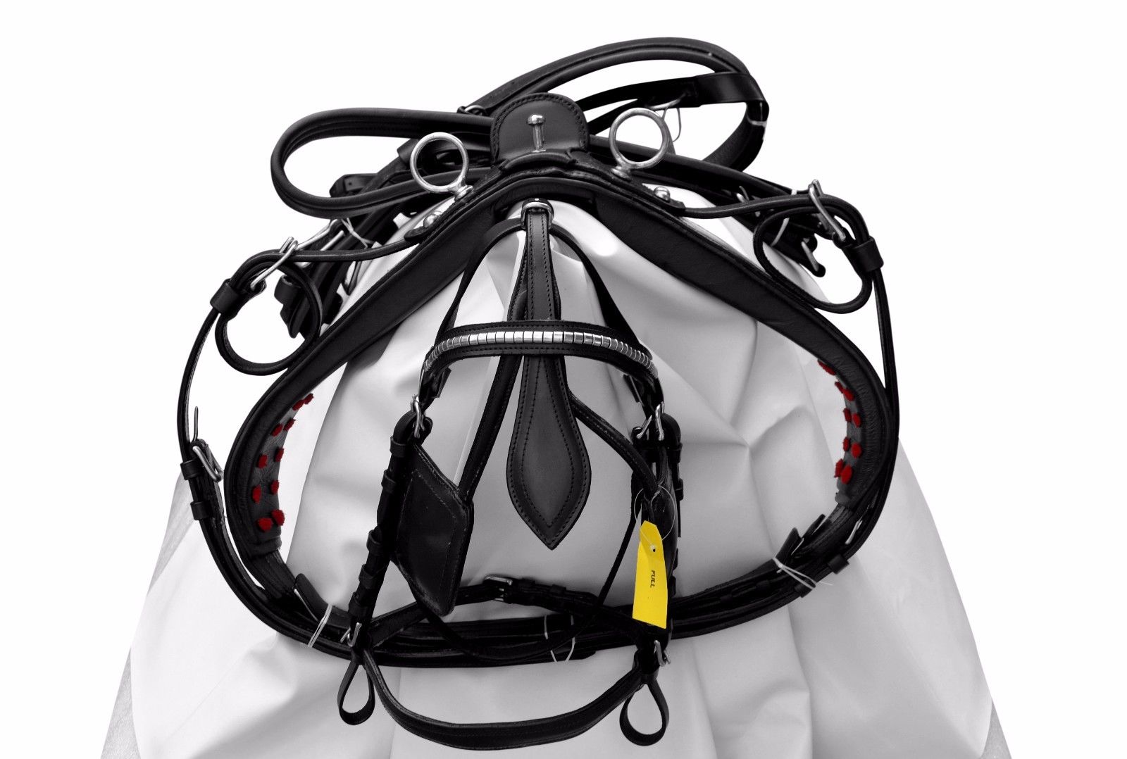 DRIVING HARNESS